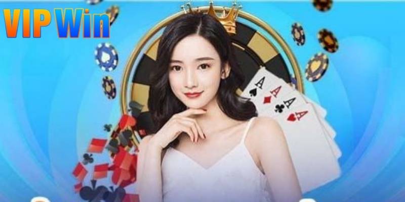 Ceo tung ra nhiều ưu đãi vô cùng hấp dẫn