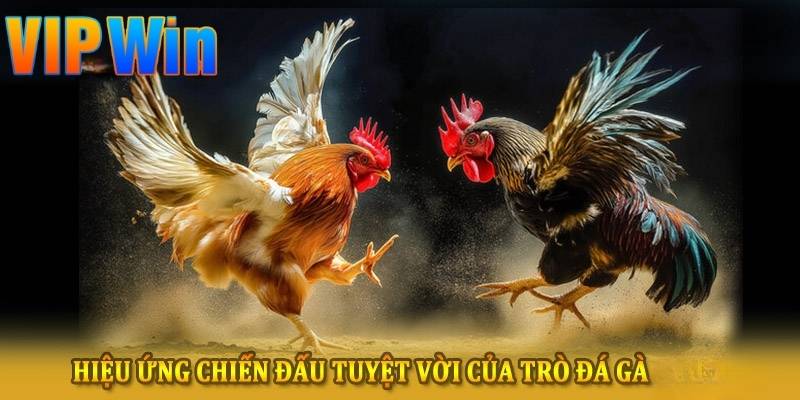 Sảnh gà được bố trí trực quan dễ dàng theo dõi